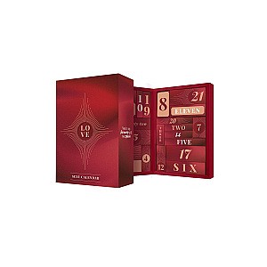 Dream Toys Pleasure Box (2025 Sexy Calendar), advent sex calendar