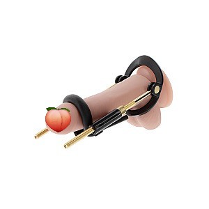 Hidden Desire Fusion X Penis Growth Training Basic Set, penis extender kit